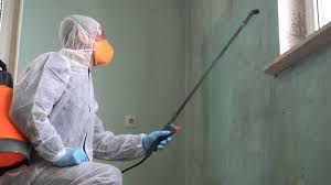 Best Mold Prevention Services  in Squaw Valley, CA