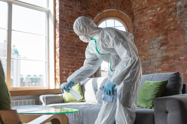 Trusted Squaw Valley, CA Mold Removal Services Experts