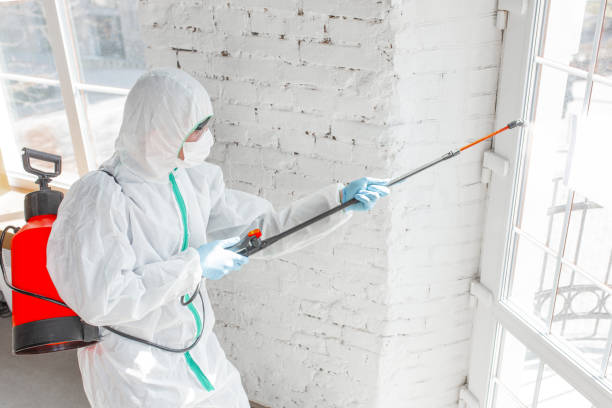 Why You Should Choose Our Mold Remediation Services in Squaw Valley, CA