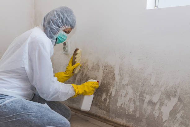 Best Crawl Space Mold Remediation  in Squaw Valley, CA