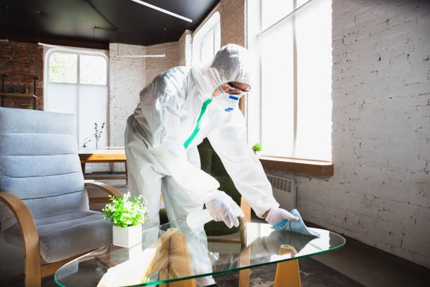 Best Mold Remediation for Healthcare Facilities  in Squaw Valley, CA