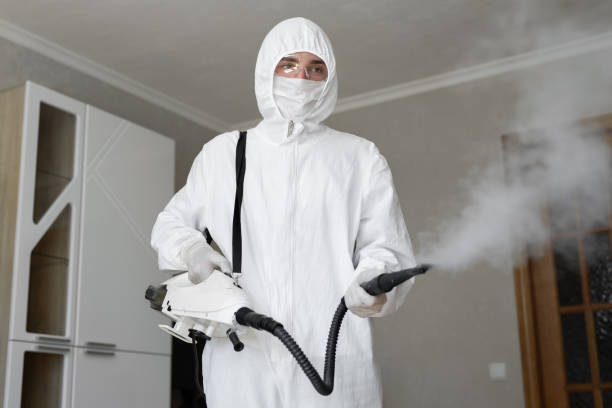 Best Mold Odor Removal Services  in Squaw Valley, CA